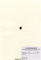 藏品(囊藻)的圖片